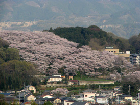 滝谷公園