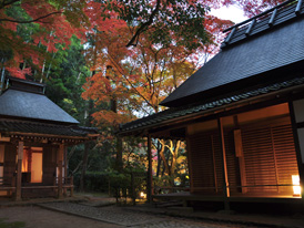 楠妣庵観音寺